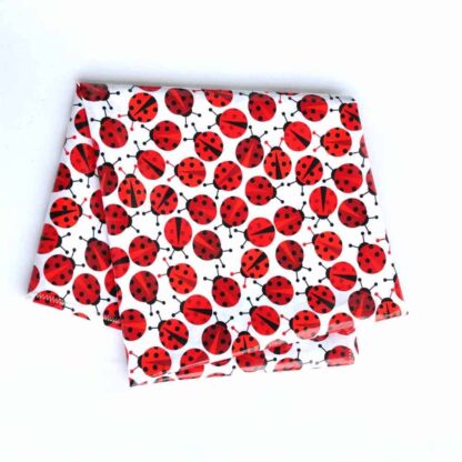 ladybird splash mat