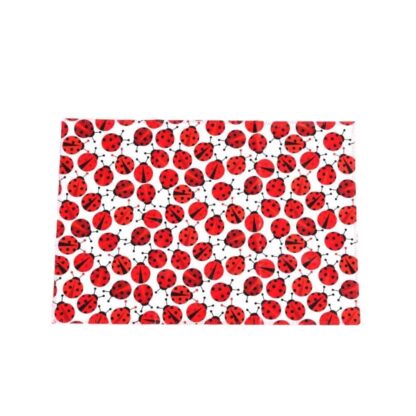 ladybird placemat